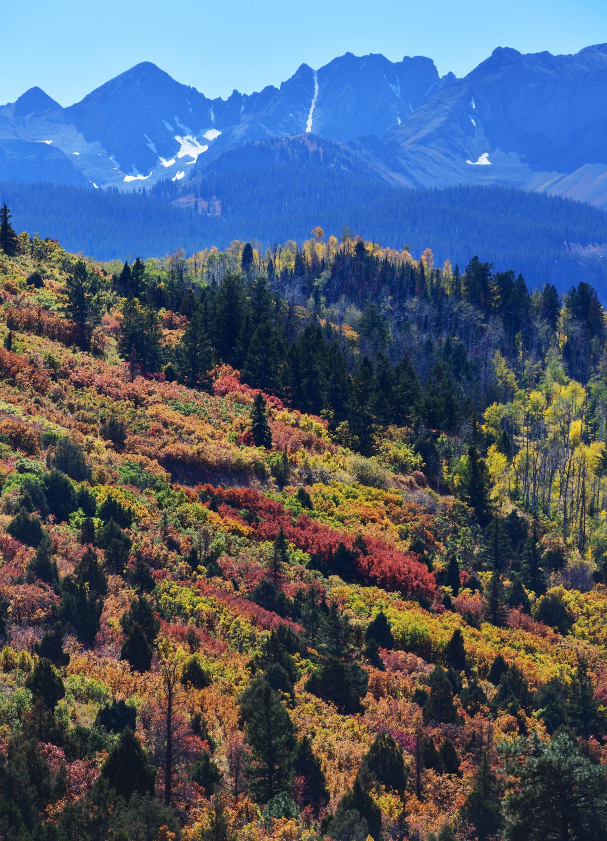 100619-news-aspens 50.JPG